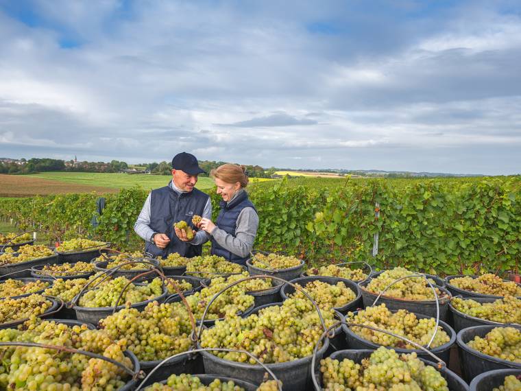 Domaine ©Wijnkasteel Genoels-Elderen (3)