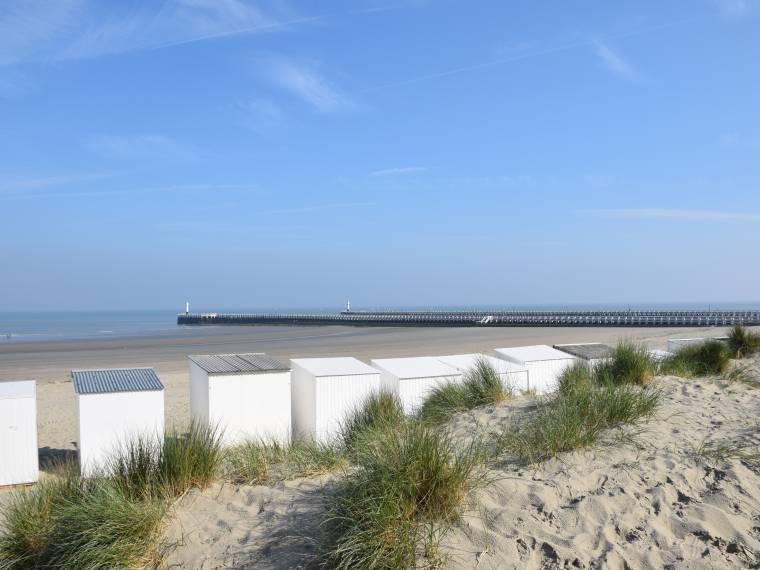Strand © EmelyVandeputte