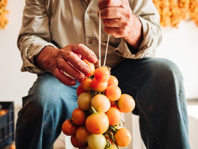 Tomates (c) AdobeStock