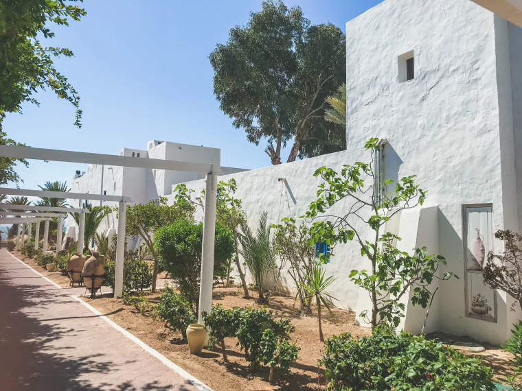 Royal Karthago 9