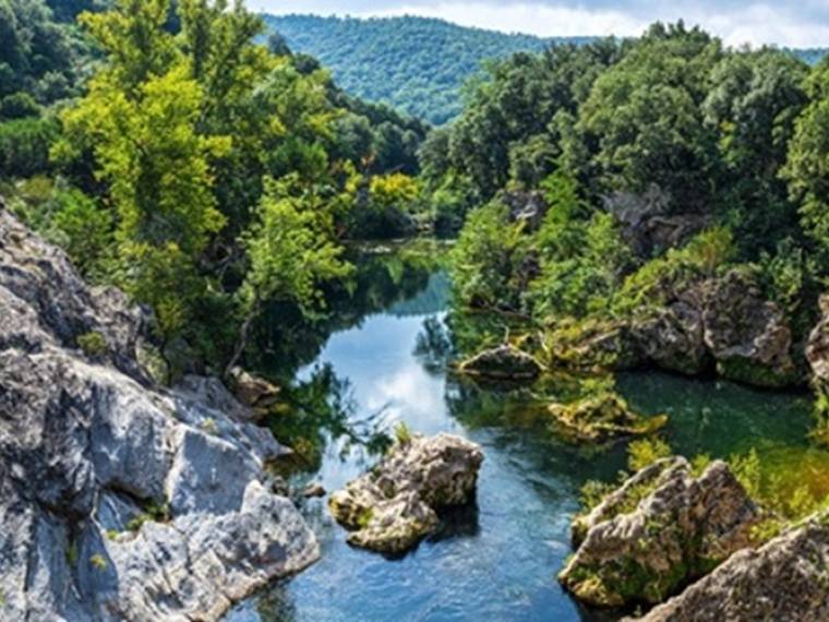 Foret communale les Arcs © Point Info Tourisme des Arcs sur Argens