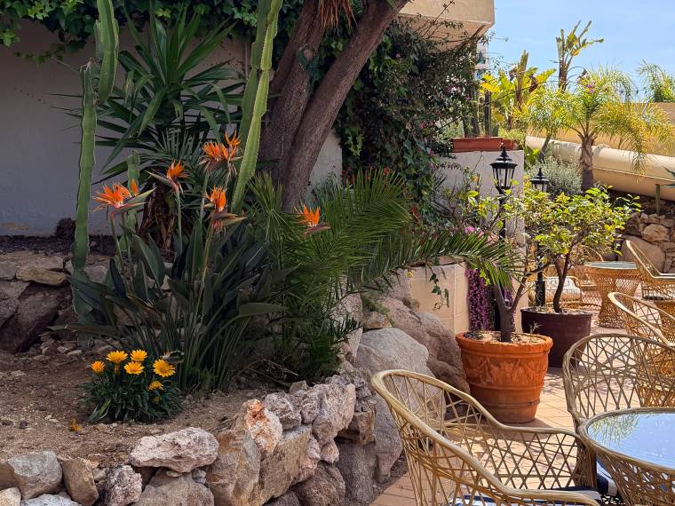 hotel_alba_seleqtta-costa_brava-07