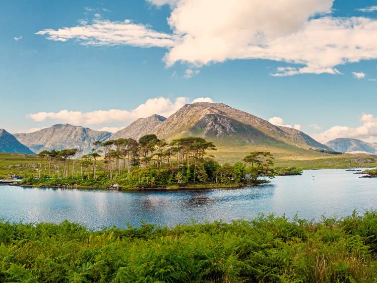 Connemara © AdobeStock_280942073