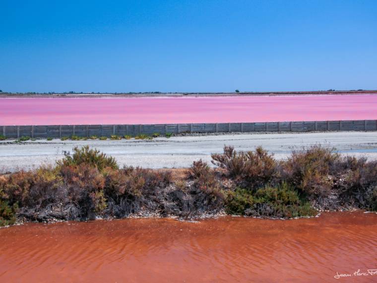 Les salins roses d-Aigues-Mortes © Jean-Marc_Favre_CRTLOccitanie