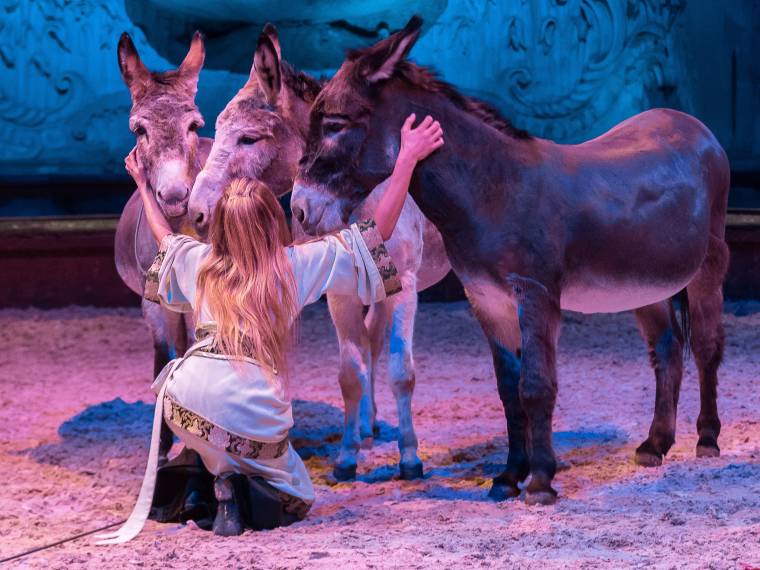 Spectacle équestre @ Château de Chantilly (3)