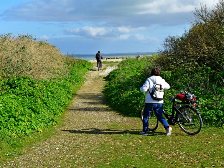 Loix, île de Ré © Shutterstock_2