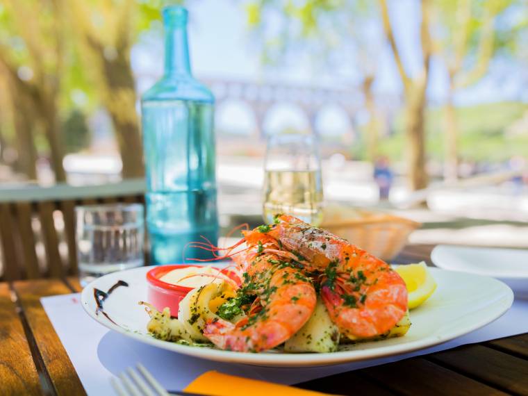 Déjeuner au restaurant Les Terrasses face au Pont du Gard © Aurélio RODRIGUEZ - Site de Pont du Gard (2)
