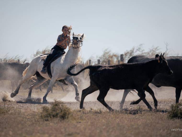 Manade en Camargue © Instinctiv - CRTL Occitanie (2)