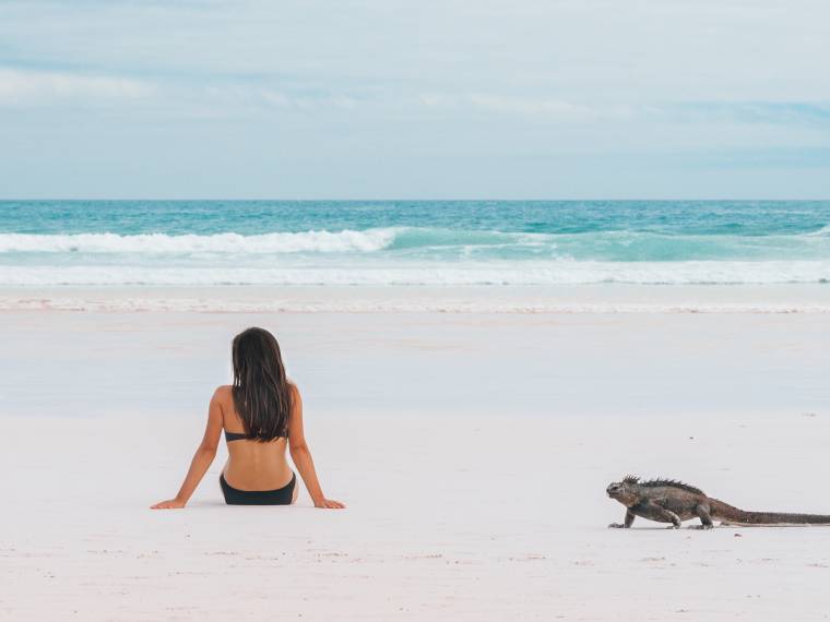 Santa Cruz, Equateur © AdobeStock