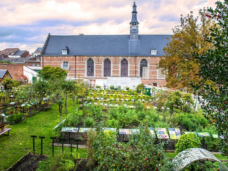 25 -  Francis Vauban - jardin