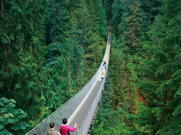Pont suspendu Capilano © AdobeStock
