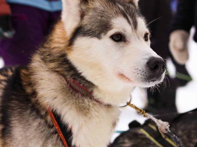 © Léo évasion (10)