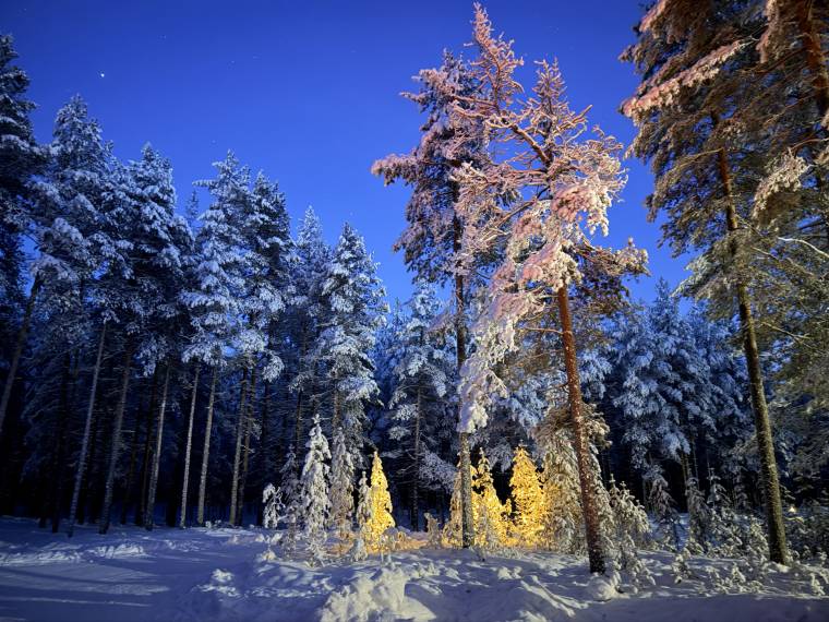 Paysage de nuit © Léo évasion (3)