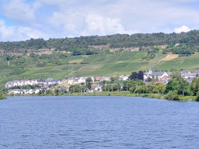 Moselle luxembourgeoise © VV