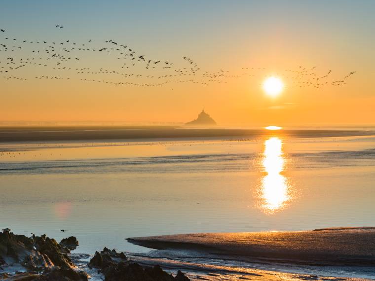 Baie du Mont-St-Michel © AdobeStock