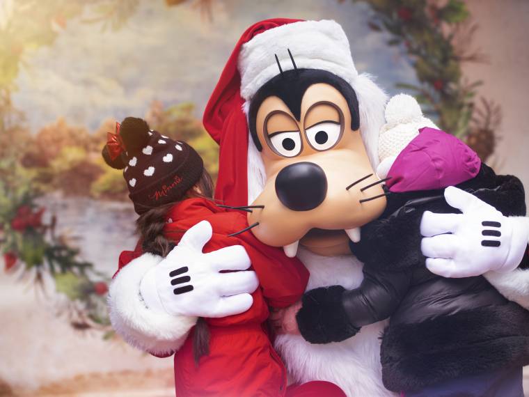 Dingo Noël