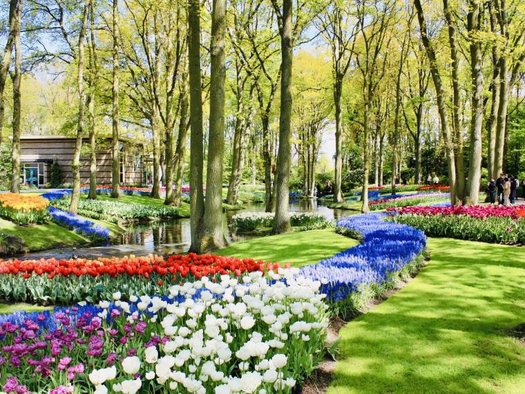 Keukenhof © Envato_1